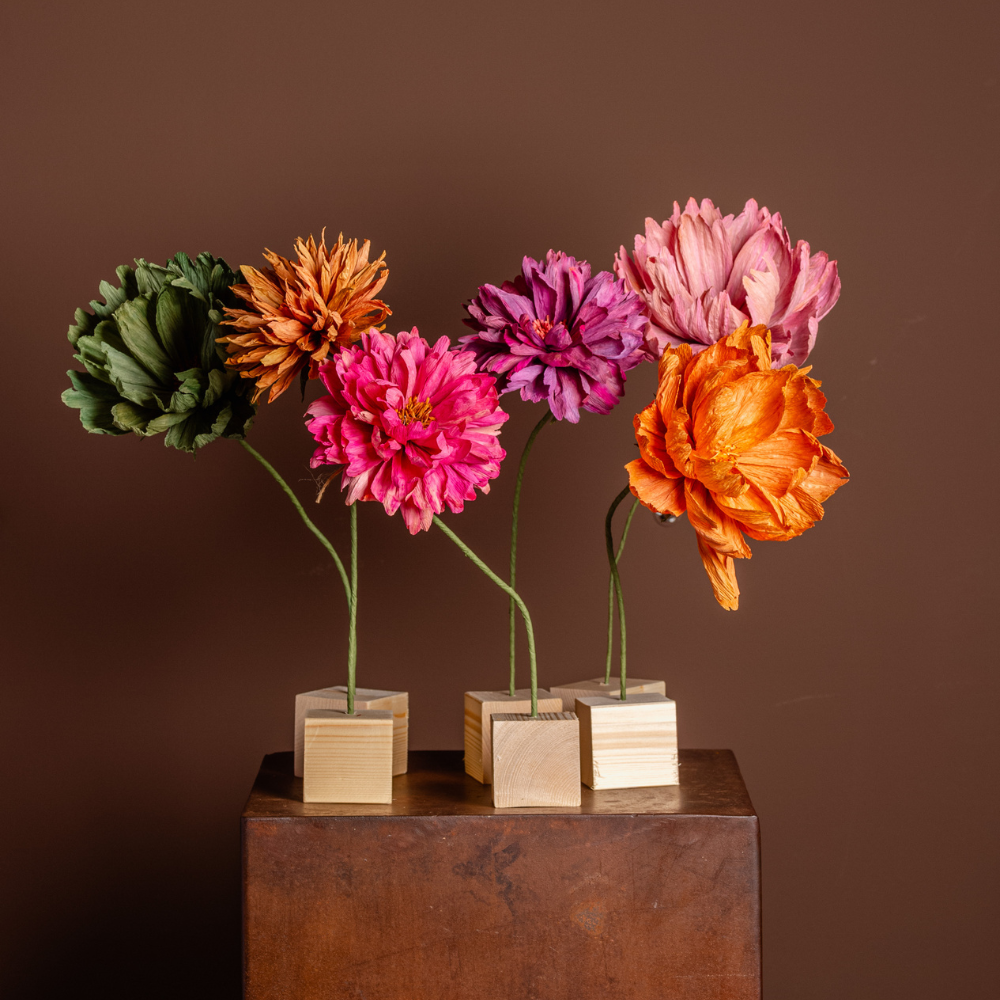 doni di fiori q